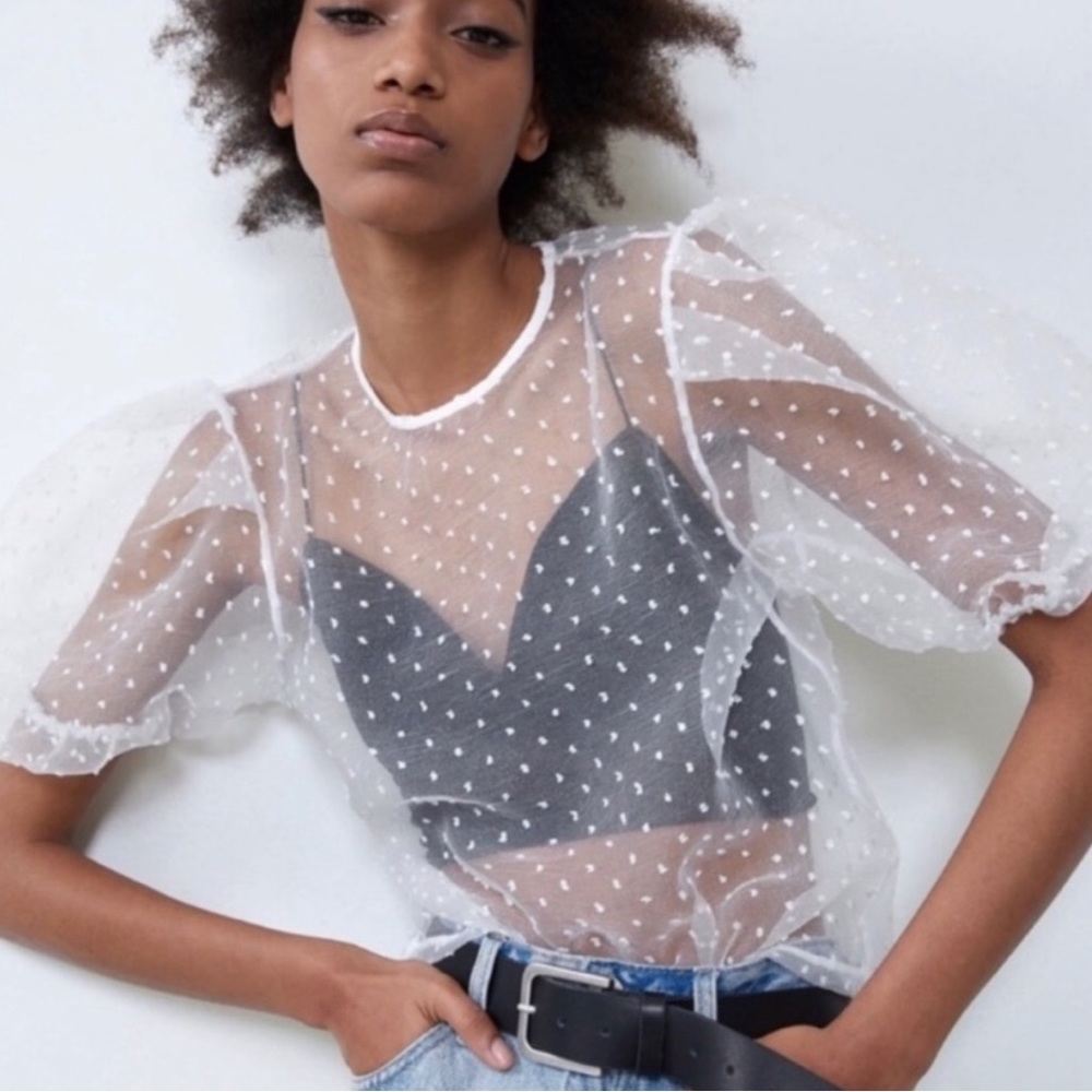 Zara Organza Swiss Dot Puff Sleeve Top